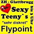 http://www.flypoint.ch/de/start